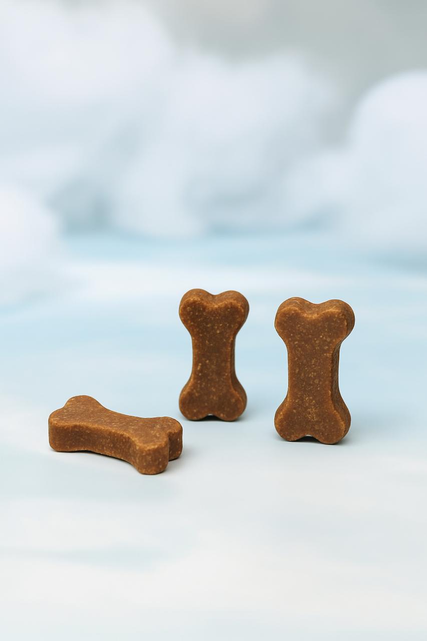 Bone Biotix