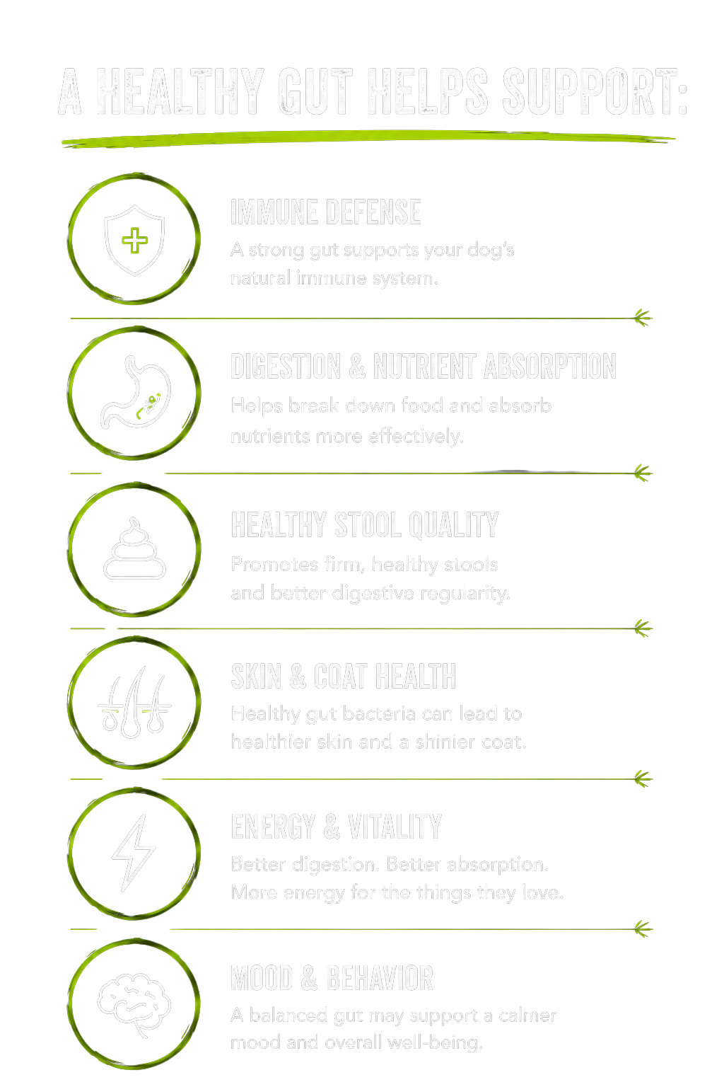 A Healthy Gut Helps Support: Immune Defense, Digestion & Nutrient Absorption, Healthy Stool Quality, Skin & Coat Health, Energy & Vitality, Mood & Behavior