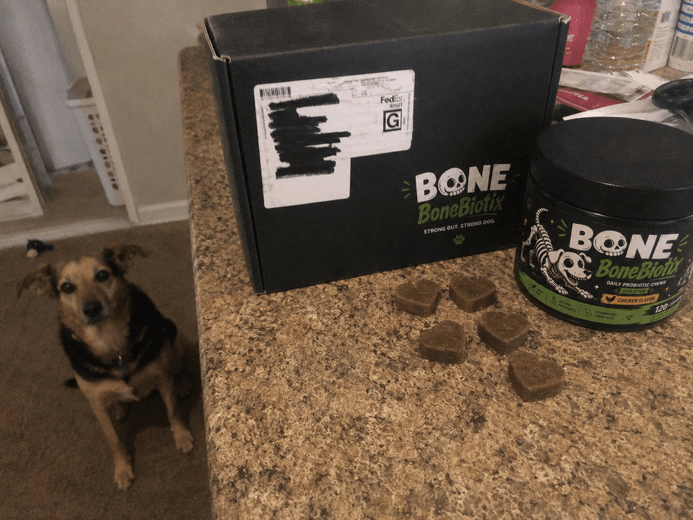 Dog with BoneBiotix box and treats