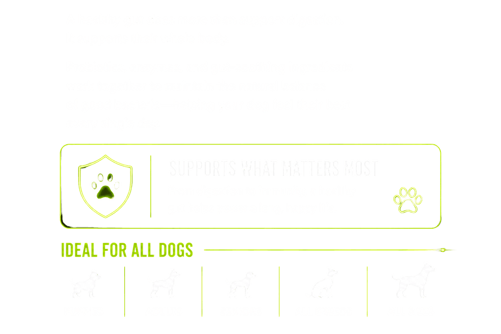 A healthy gut supports their whole body. Supports What Matters Most. Ideal For All Dogs - Puppies, Adults, Seniors, All Breeds, All Sizes